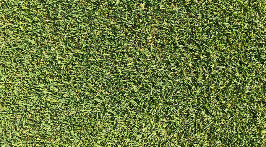 commercial-grass-aeration