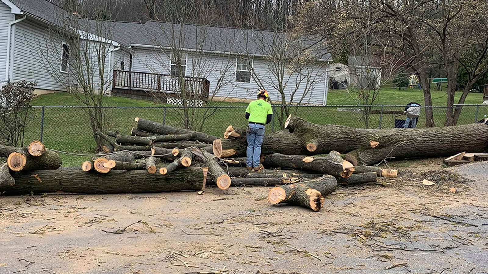 stump-grinding-bg