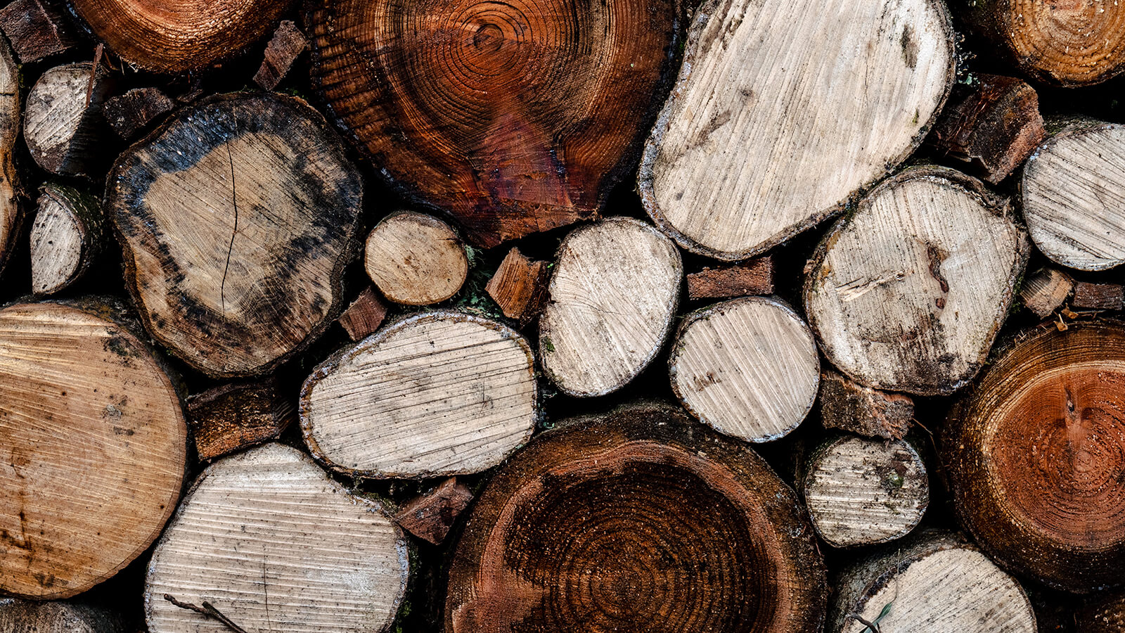 unsplit wood and logs