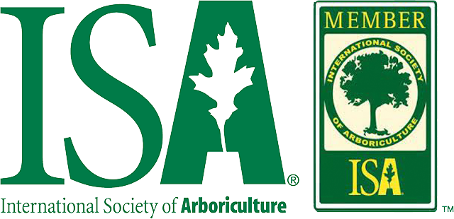 isa member isa member