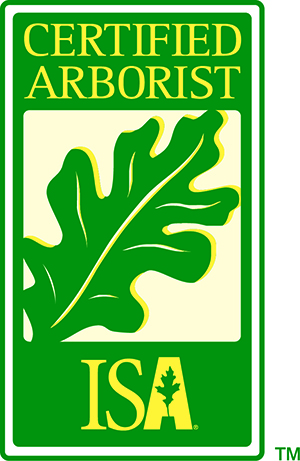 certified arborist